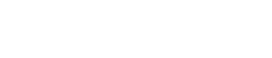 Computer Gross